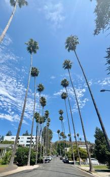 Dresden B & B, Los Angeles (photo 2)