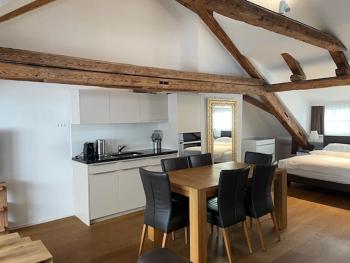 Penthouse Zürich City, Curych (fotografie 5)