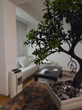 Central Bee Apartment, Skopje (foto 4)