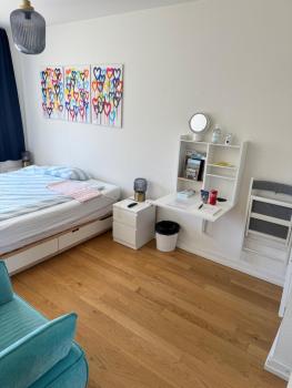 City Center Rooftop Studio with Oldtown View, Basel (Foto 2)