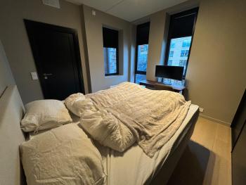 Luxury Apartment in City Center, Oslo (fotografie 3)