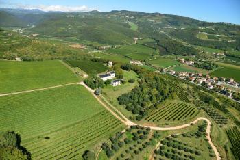 Agriturismo Delo, Verona (foto 3)