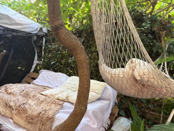 Penelope B&B, Palermo (foto 3)