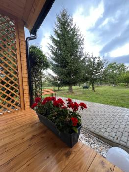 Roua Chalet, Nemţişor (Foto 4)