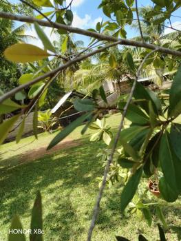 SA Resort, Anuradhapura (foto 3)