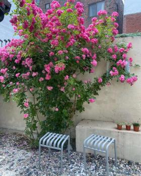 Jongno Haru - Modern Private Hanok stay for only one group, Soul (fotografie 5)