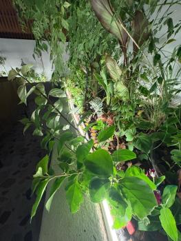 غرفه انيقه وناعمه, Riad (Foto 4)