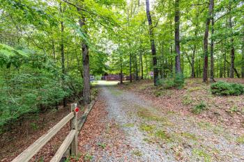 DANCING BEARS CABIN - Secluded 3-Bedroom, 3.5-Bath Luxury Cabin with Hot Tub, Mineral Bluff (Foto 5)