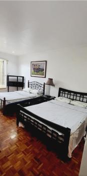 Casa Meyer's BF Homes International House for rent with pool and Jacuzzi, Manila (fotografie 5)