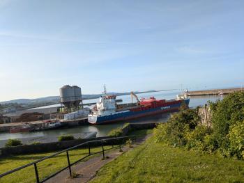 Sarways, Wicklow (foto 4)