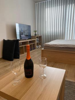 Apartmán ELEN, Sky View, Прага (фото 3)