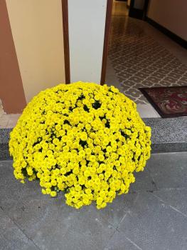 Training Hotel, Hoi An (fotografie 2)