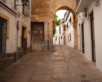 Apartamentos San Fernando 62, Córdoba (foto 4)