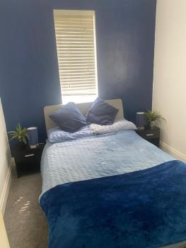 Spacious Guest House Thornton Road, London, London (photo 3)