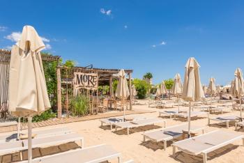 Ivy - Lux Apartment with Parking & Pool in Azur Panorama, Sveti Konstantin i Elena (fotografie 4)