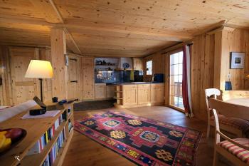 Chratidudel - Ski-in , Ski-out, Bettmeralp (fotografie 5)