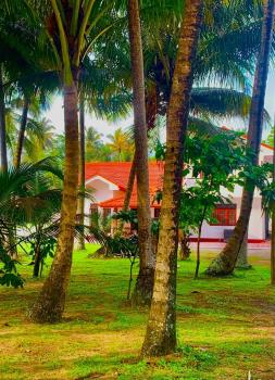 Surf Front, Ahangama (photo 4)