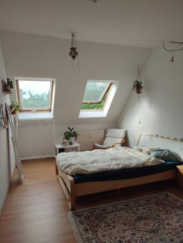 Ein Zimmer in heller Wohnung, Lipsk (zdjęcie 5)