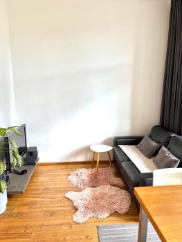 Apartment Dzelzavas 19/3, Riga (photo 4)