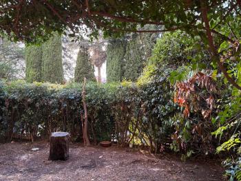 Nice Cimiez Garden, Nice (photo 2)