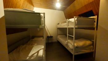 Dolfijn Hostel, Amberes (foto 3)
