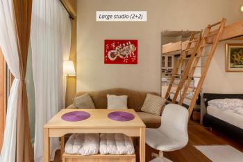 IQ wood apartment, Ljubljana (photo 3)