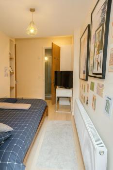 Easy Access to Central London-Private Ensuite & Terrace, London (photo 4)
