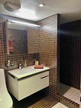 Boho chic - 2BR, 2 Baths & Spacious Living Room with 23sqm terrasse, Zurigo (foto 2)