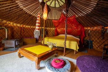 Reijgershof - Yurt Experience with garden view, Амстердам (фото 2)