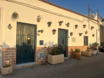 FlorCactus, Níjar (photo 2)