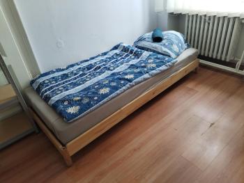 Central Spacious Room in Prague, Praga (foto 2)