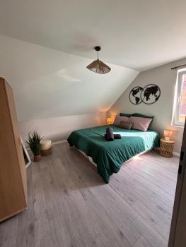 Le Col'Vert - Appartement 50m2 - Colmar Centre, Colmar (fotografie 5)