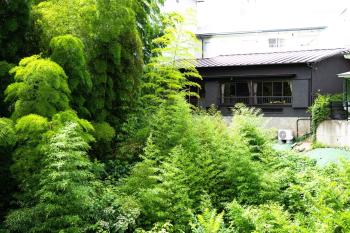 伊東市貸切一軒家, Ito (Foto 4)