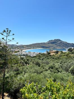 Olive Grove, Plakias (fotografie 2)