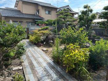 Kouan, Macujama (fotografie 2)