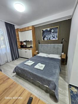 AchiDav 133, Onești (photo 2)