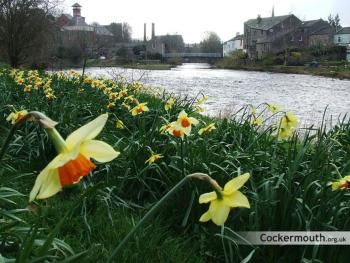 Studio No5, Cockermouth The Lakes, Cockermouth (Foto 2)