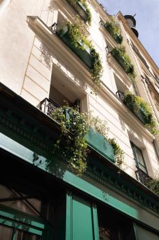 Hôtel Aubépine, Parigi (foto 3)