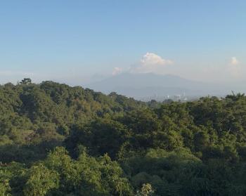Nature & city view villa Bandung near Dago hotspot, Bandung (photo 4)