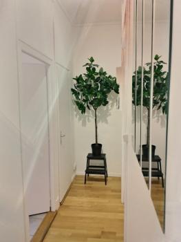 P&R - 2 room comfort, Plainpalais, Ginevra (foto 3)