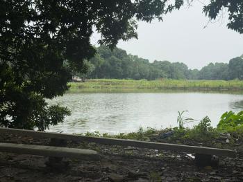 Aam Bagan, Chunchura (foto 4)