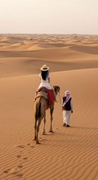 Dubai Desert Safari With BBQ and Live Shows, Dubaj (fotografie 4)