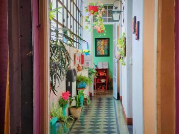 Casa Reina Palermo Queens, Buenos Aires (fotografie 3)