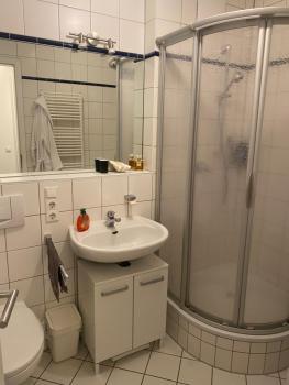Helle Wohnung am Waldpark, Dresden (foto 3)