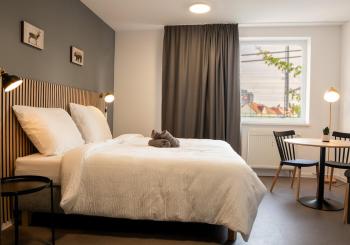 N12 Bright and cozy apartment with AC and parking, Братислава (фото 2)