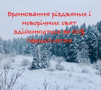 Вілла Лісова комфорт, Skhidnytsya (foto 3)