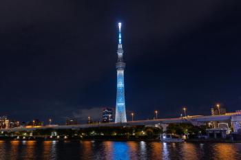 Skytree View Rooftop Villa Asakusa SVRVA, Tokyo (photo 4)