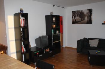 Sunny Two-story Apartment Kyje, Praha (fotografie 3)