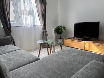 Grey apartment, Riga (photo 5)