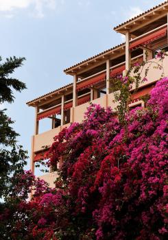 The Margi, Atene (foto 3)